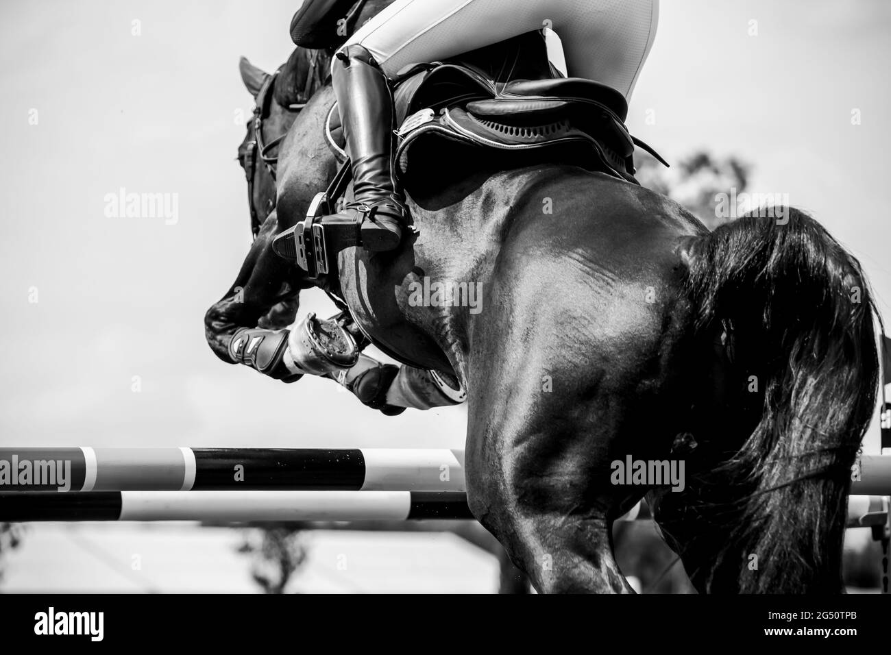 Horse Jumping, Equestrian Sports, Show Jumping event themed photograph