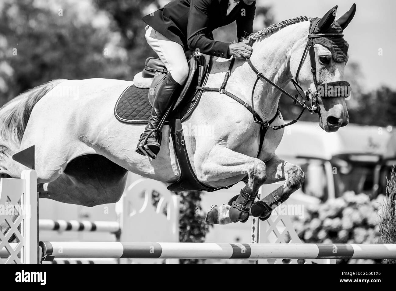 Horse Jumping, Equestrian Sports, Show Jumping event themed photograph