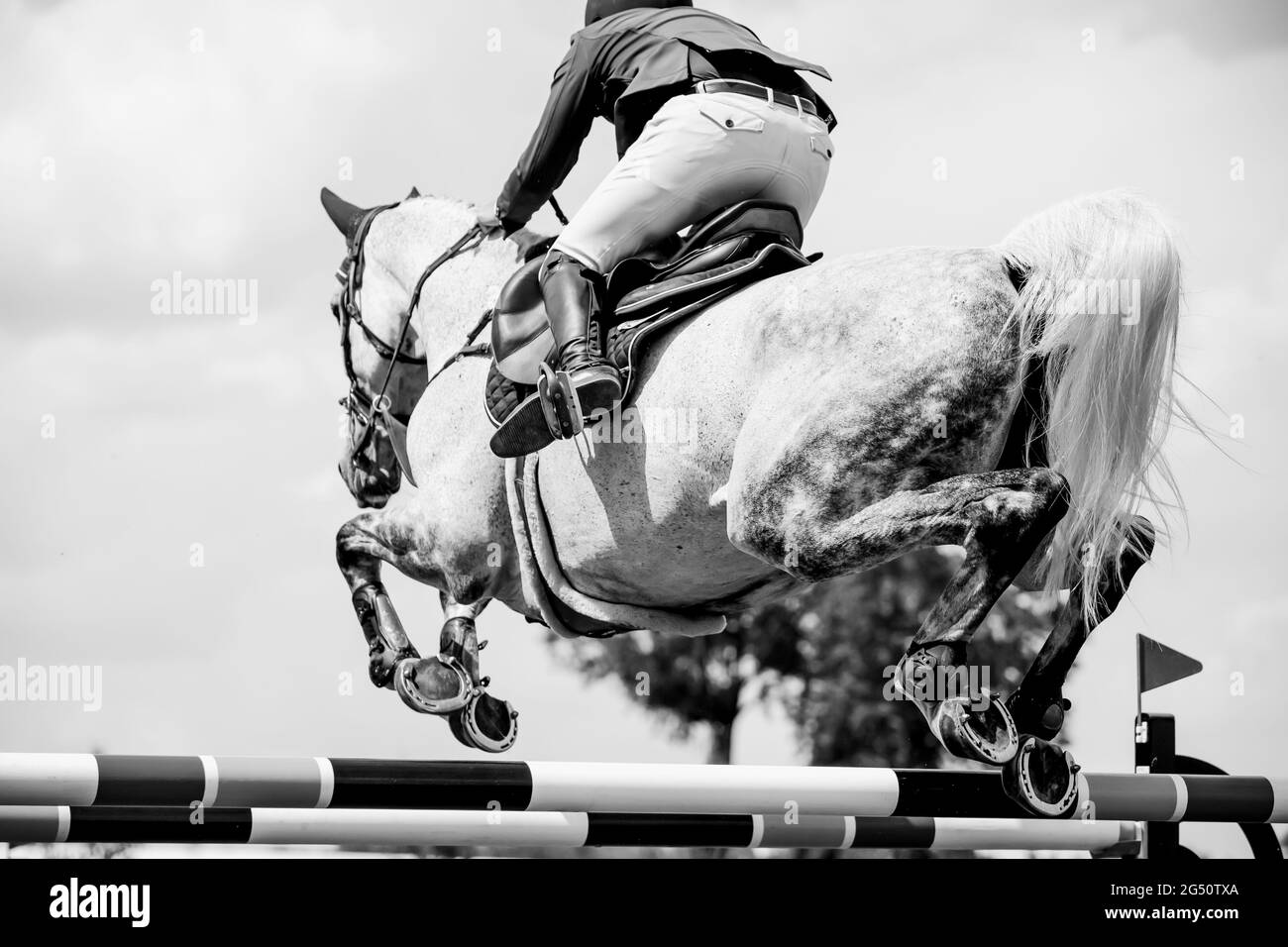 Horse Jumping, Equestrian Sports, Show Jumping event themed photograph