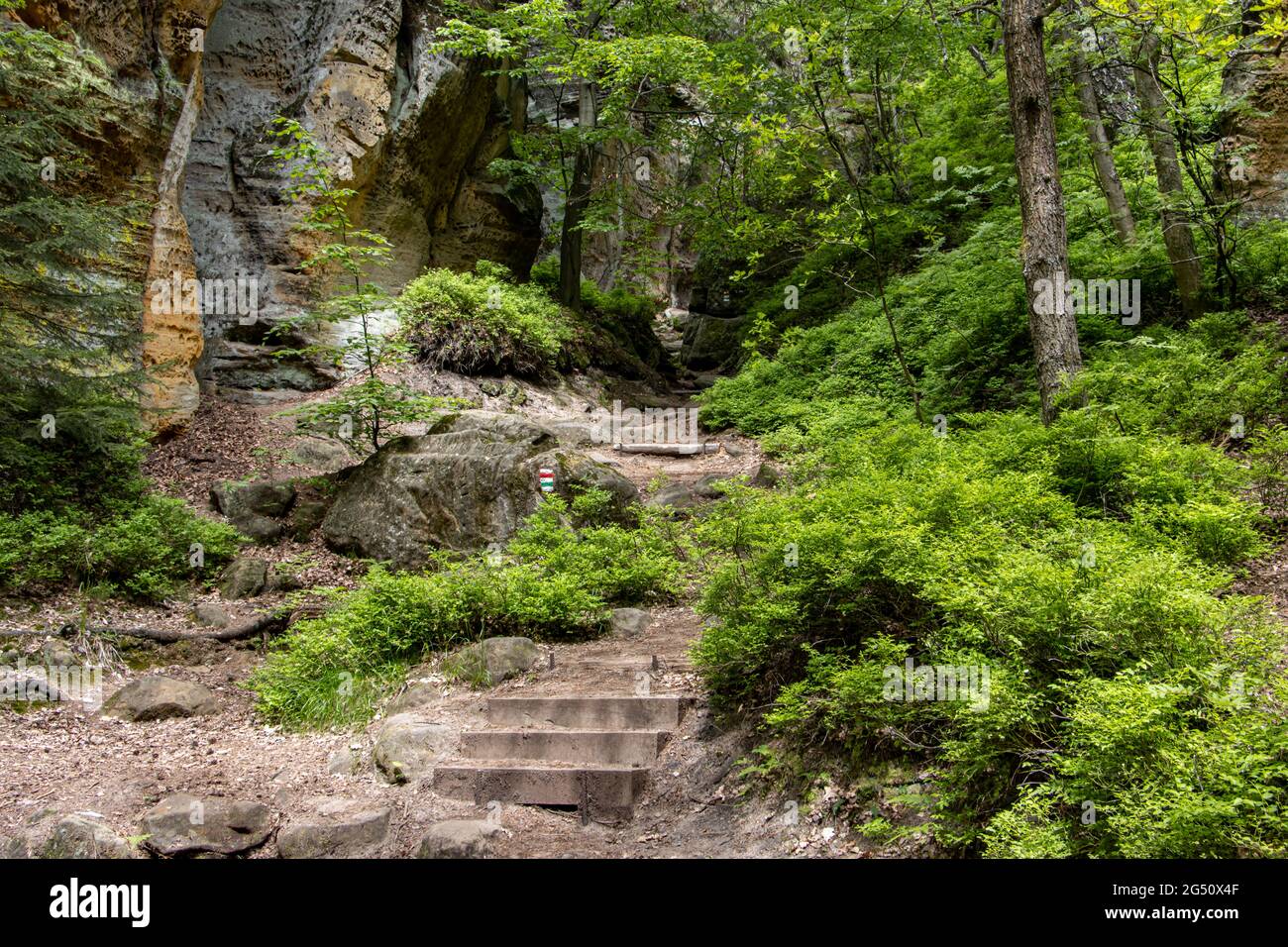 Path Between The Rocks Staircase between rocks hi-res stock photography and images - Alamy