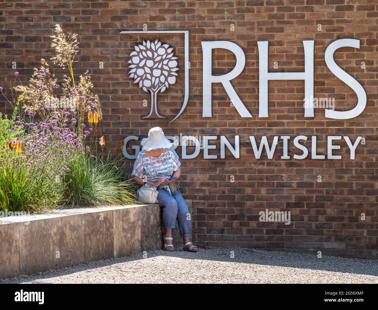 RHS Garden Sign Wisley Entrance with lady sitting taking some shade in high summer whilst checking her smart mobile phone Wisley Gardens Surrey UK Stock Photo