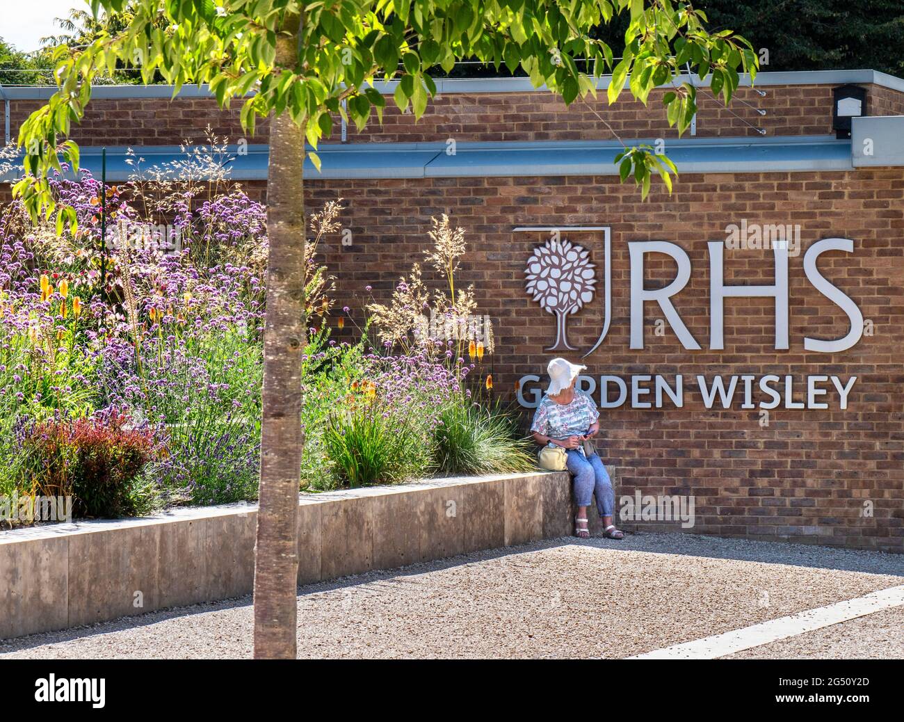 RHS Garden Sign Wisley Entrance with lady sitting taking some shade in high summer whilst checking her smart mobile phone Wisley Gardens Surrey UK Stock Photo