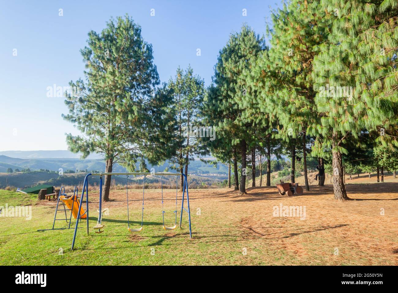 Childrens Playground Swings and Slide between pine trees in remote mountains wilderness for couple family holidays travels explore and hiking. Stock Photo