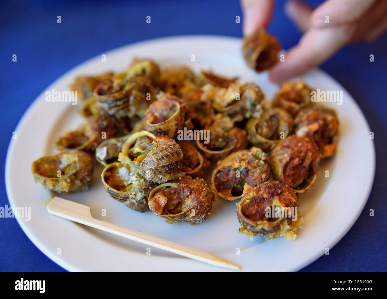 Cargols a la llauna (land snails cooked on a tin pan) in the Can Josep Restaurant in the village of Bot (Terra Alta, Catalonia, Spain) Stock Photo