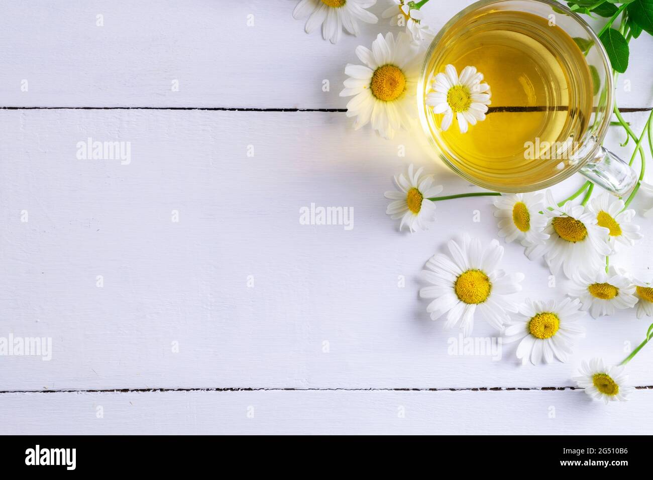 Close-up top view of a cup of chamomile tea and flowers. Alternative and traditional medicine. Herbal treatment. Selective focus. Copy space. Stock Photo