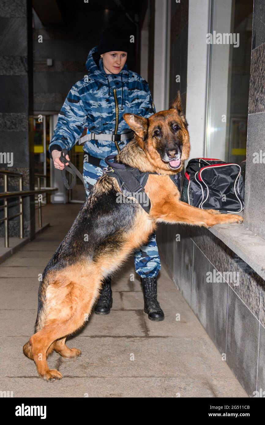 are police dogs trained in german