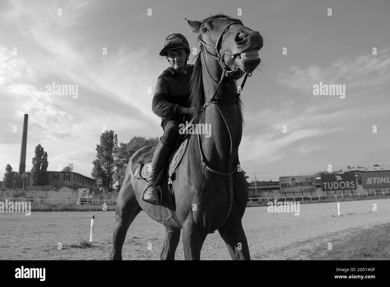 Khaki Equestrian Horse Riding Pants, Vintage Jockey Pants, Lace Up