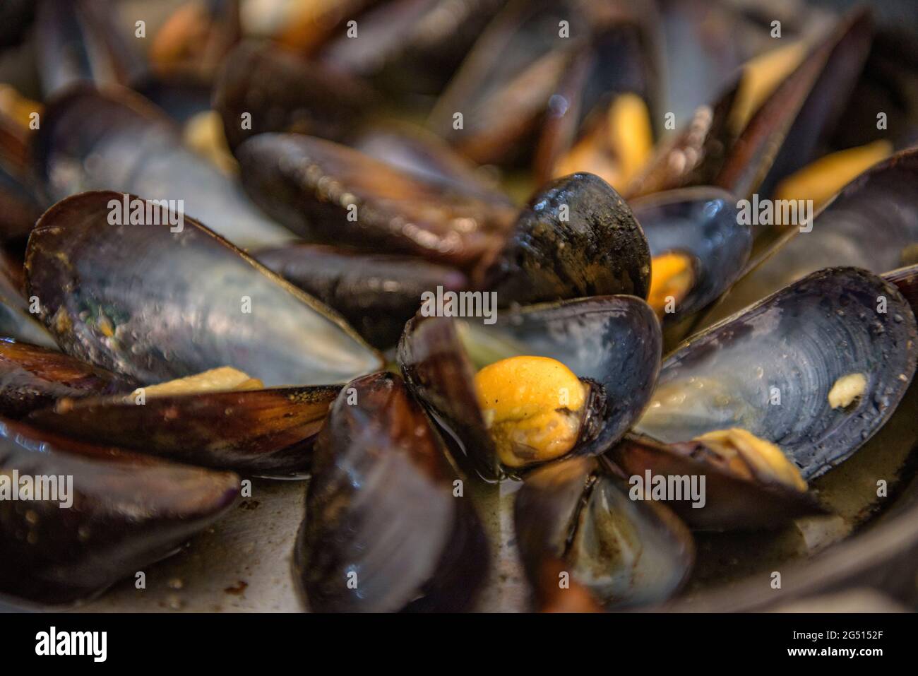 Mussel small pot at Xiringuito Restaurant, in Benifallet (Tarragona, Catalonia, Spain) ESP: Cazoleta de mejillones en el Restaurante Xiringuito Stock Photo