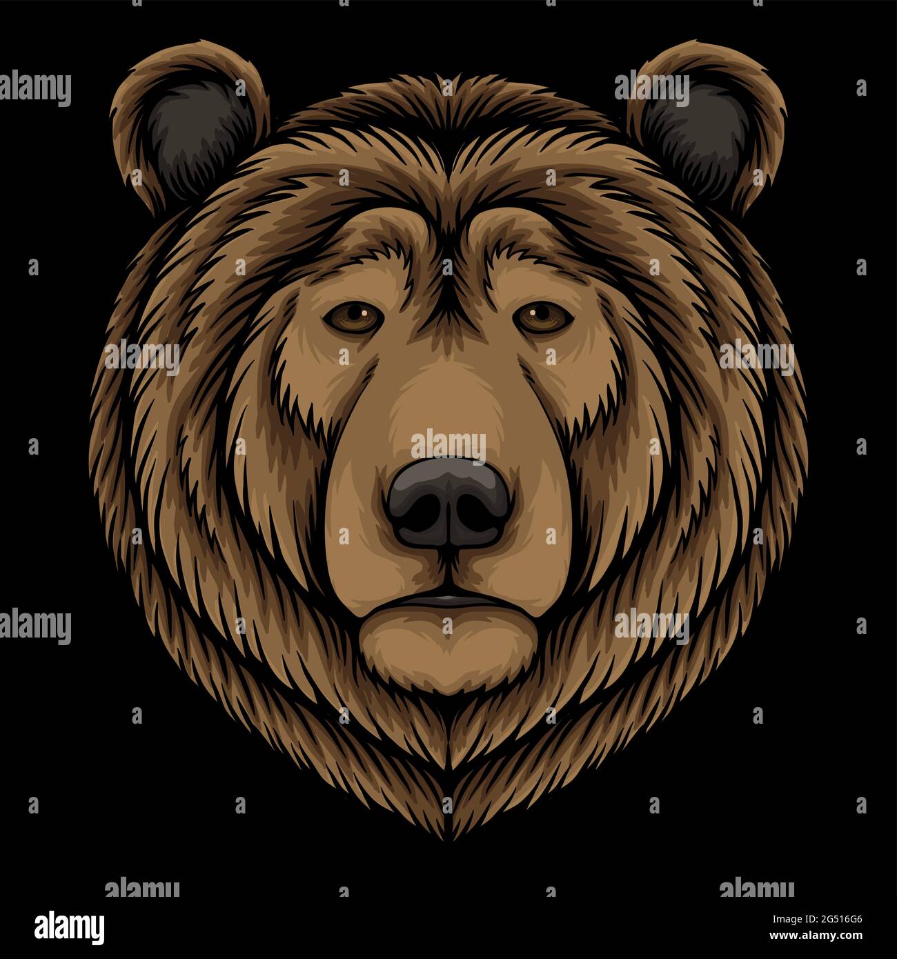 Outline Bear Head Animal High Resolution Stock Photography and Images