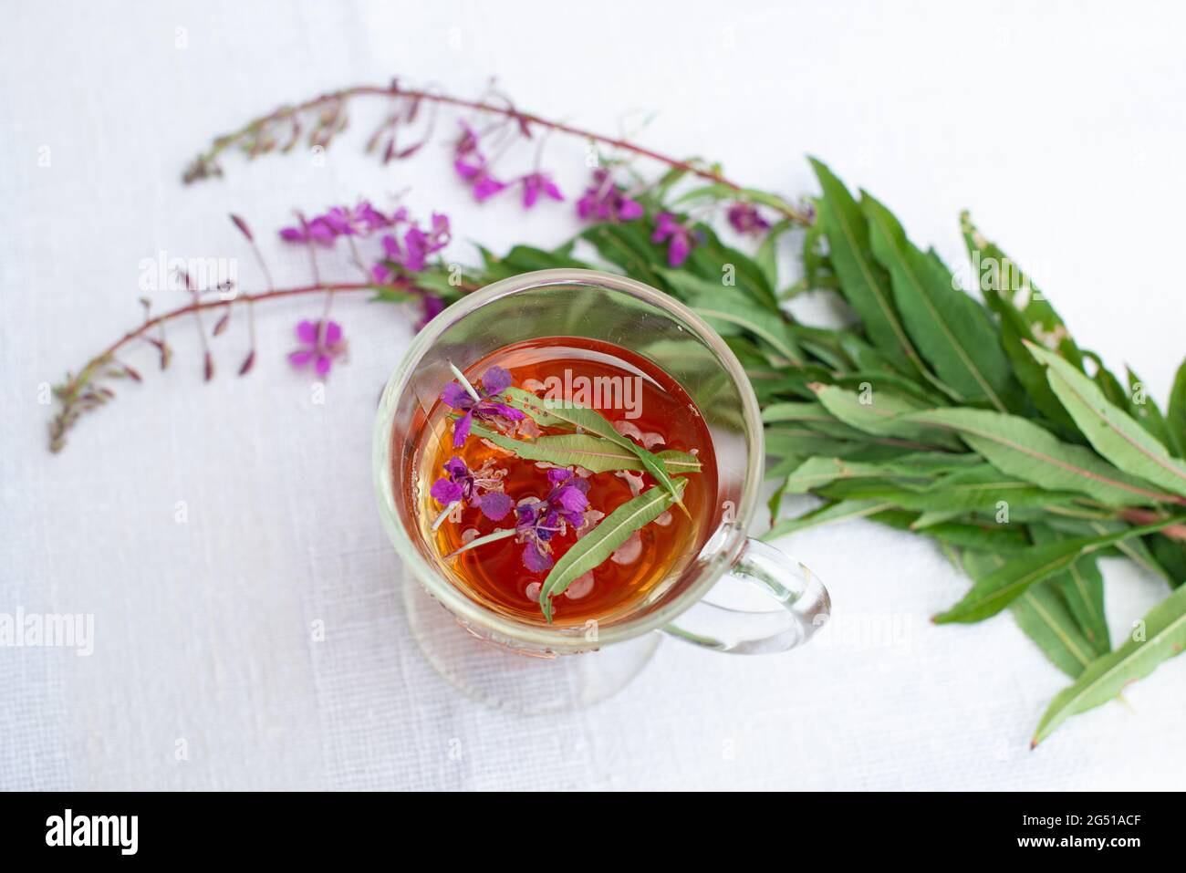 Feverwort Tea Cup of Fireweed herbal tea with fresh fireweed flowers on background ...