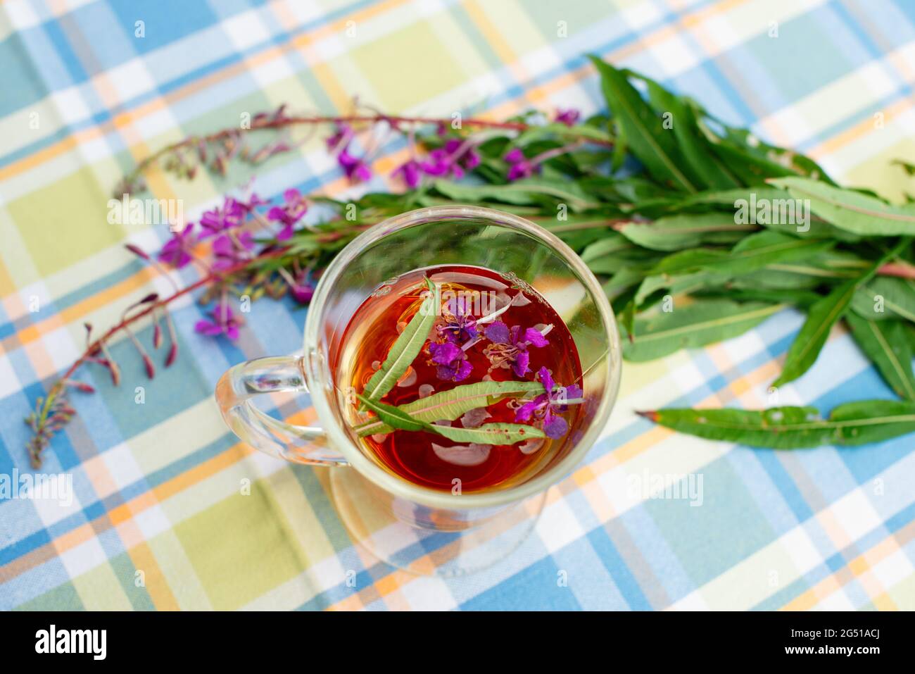 Cup of Fireweed herbal tea with fresh fireweed flowers on background. Table top view. Stock Photo