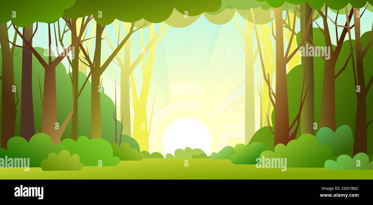 Forest trees background. Glade in the thicket. Sky with sunlight. Beautiful  green summer landscape. Flat design. Cartoon style. Background illustratio  Stock Vector Image & Art - Alamy