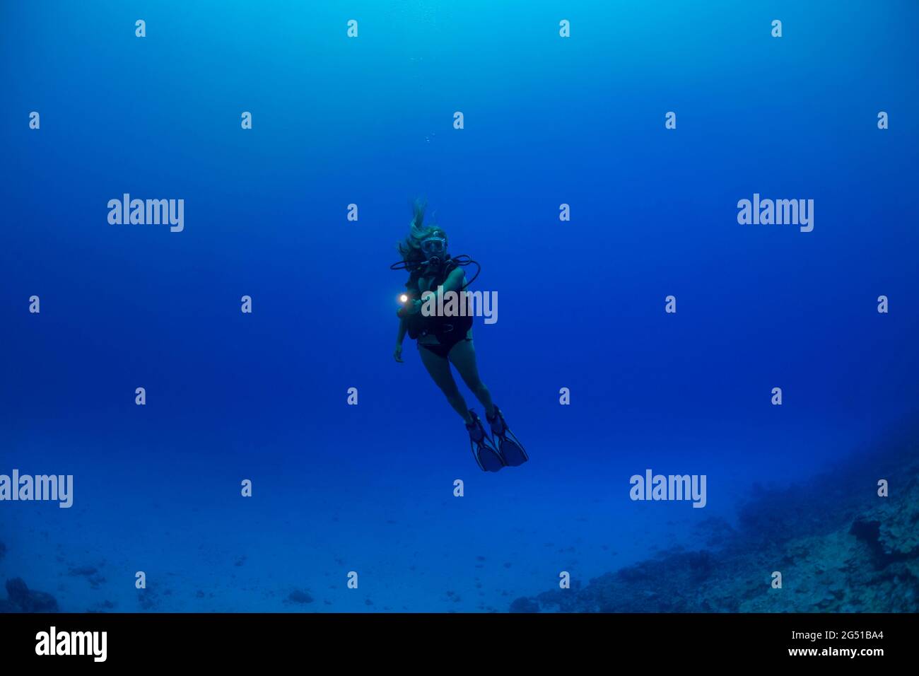A young lady (MR) shining a light, scuba diving in midwater off the island of Yap, Micronesia. Stock Photo