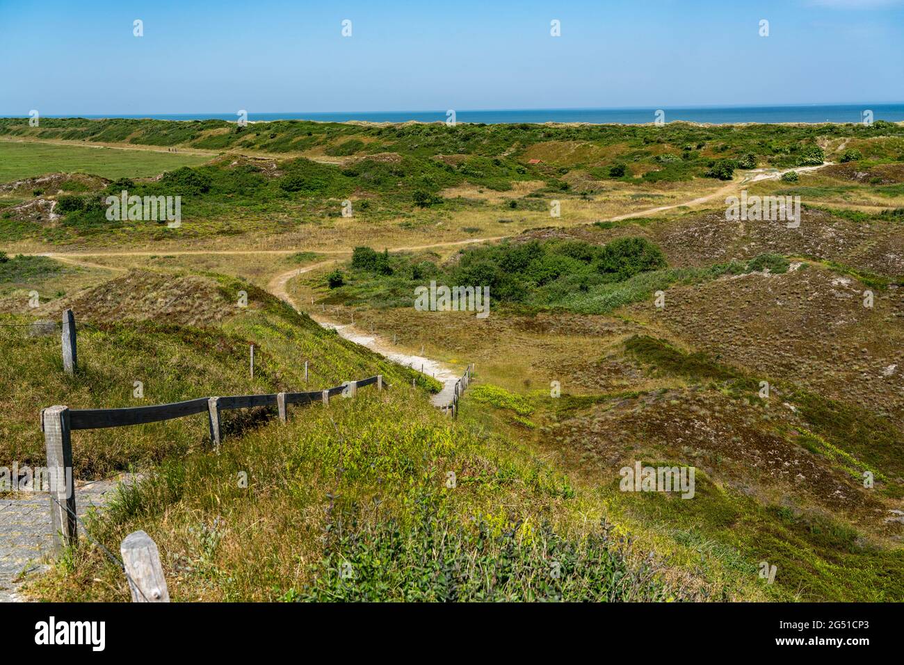 North Sea island Langeoog, early summer, dune landscape in the interior ...