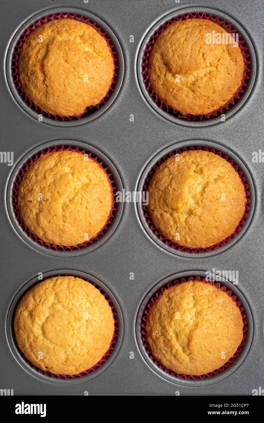 Freshly baked cupcakes in  baking tray Stock Photo