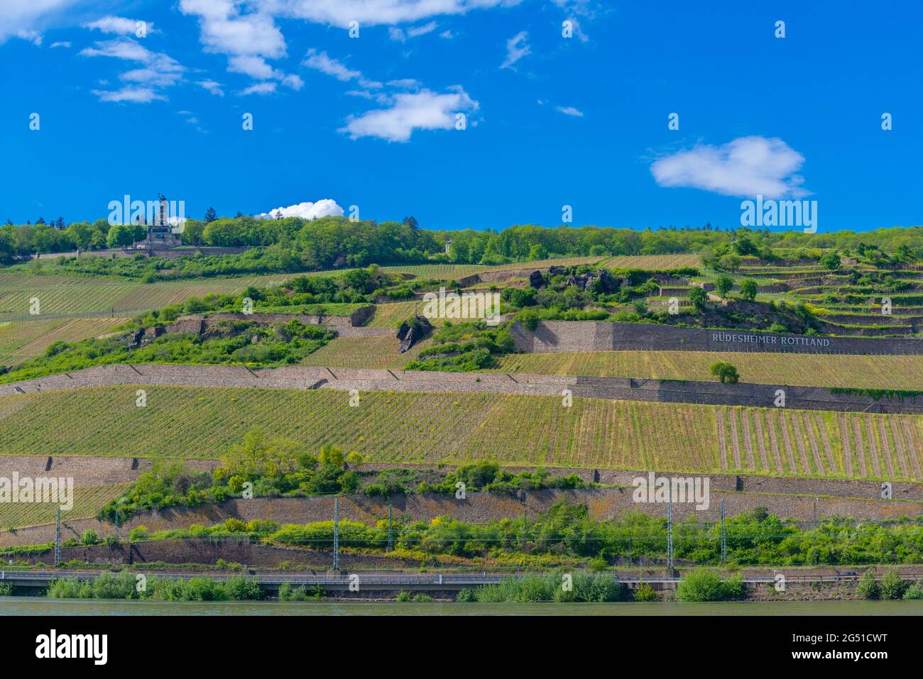 Niederwald Memorial and vinyards in Rüdesheim, famous wine village in the Rheingau landscape on the Rhine River, Hesse, Germany, Europe Stock Photo