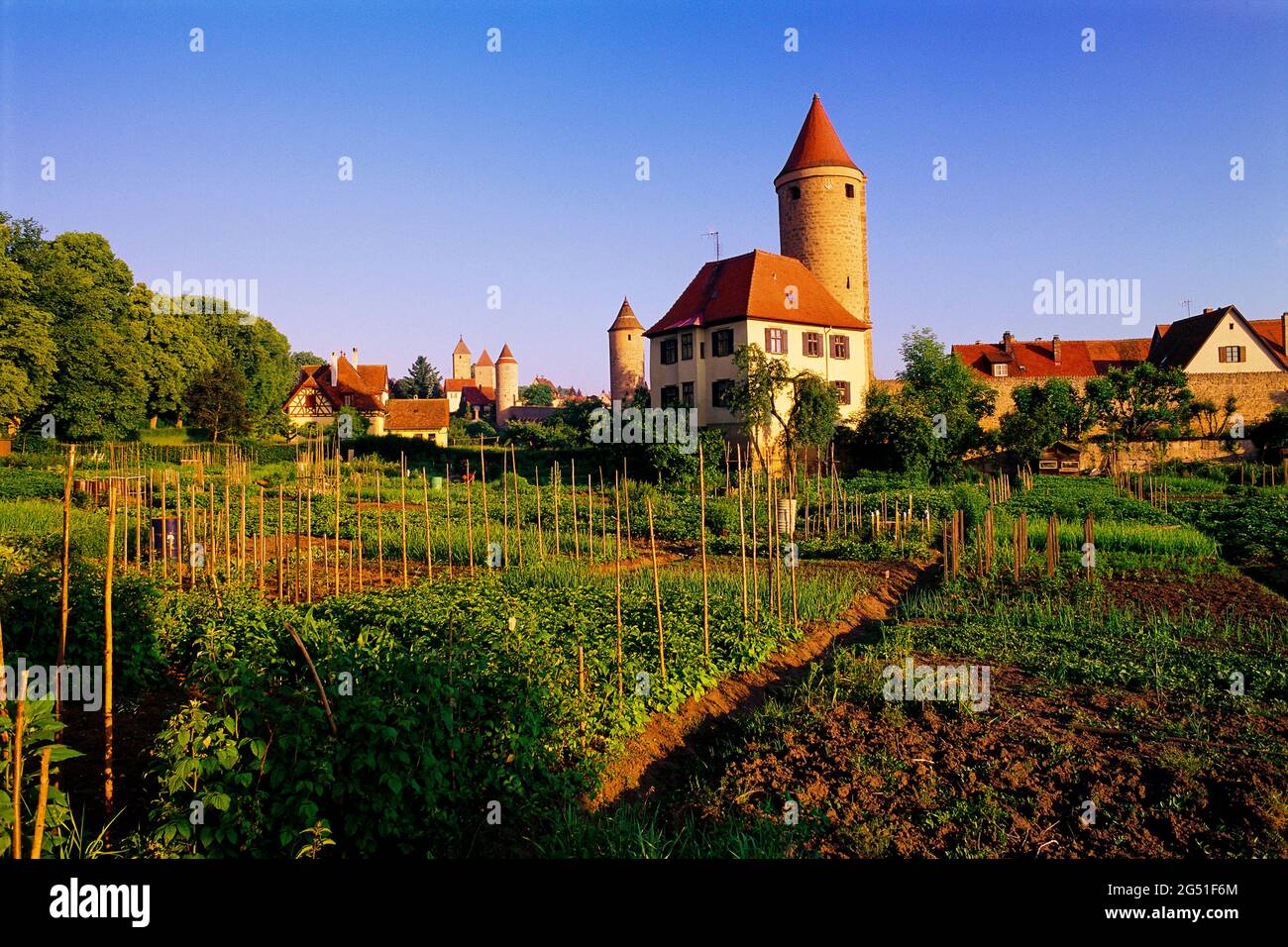 Vegetable garden and buildings in small town of Dinkelsbuhl, Bavaria, Germany Stock Photo
