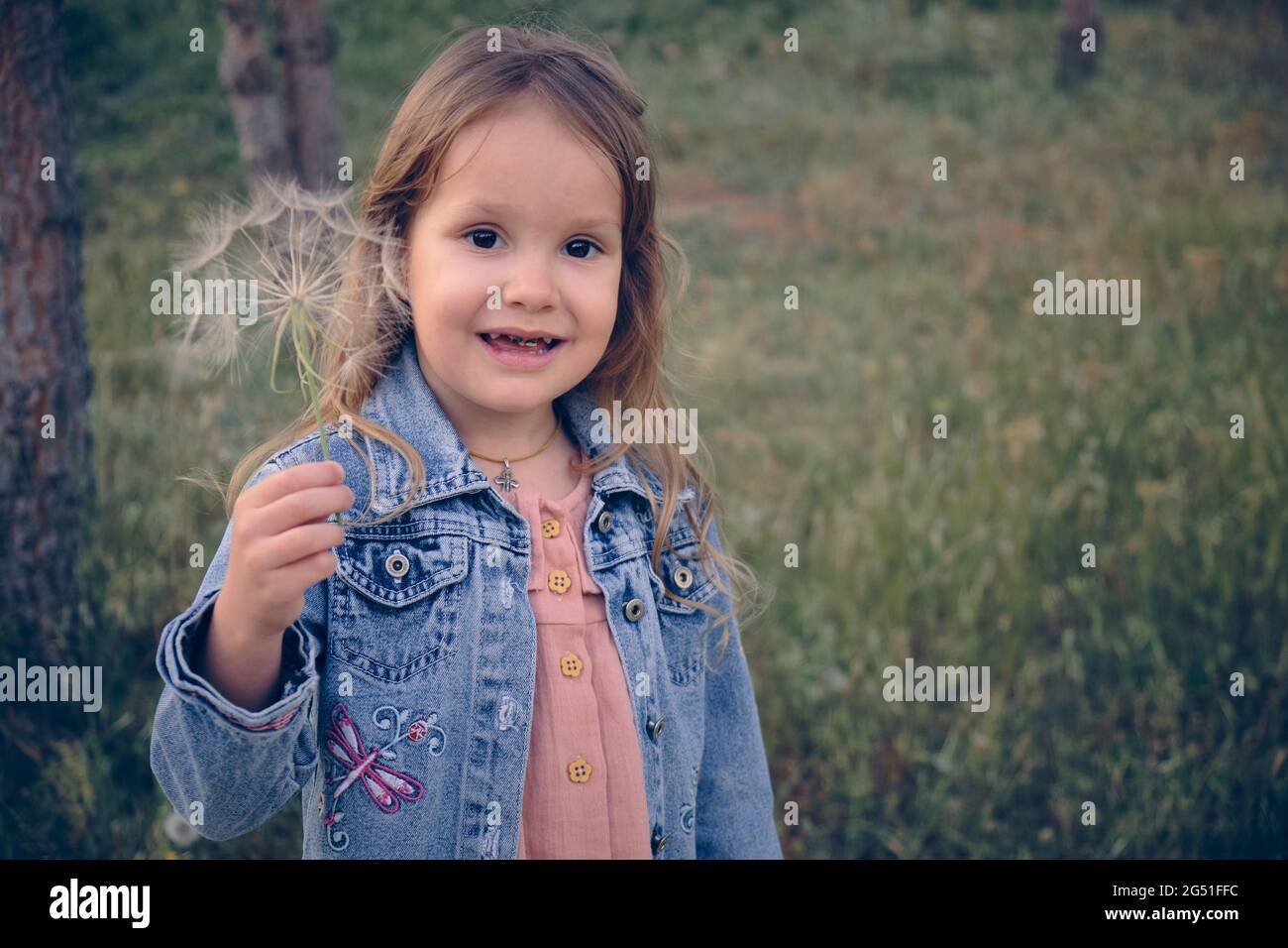 Little girl with huge dandelion flower Stock Photo - Alamy