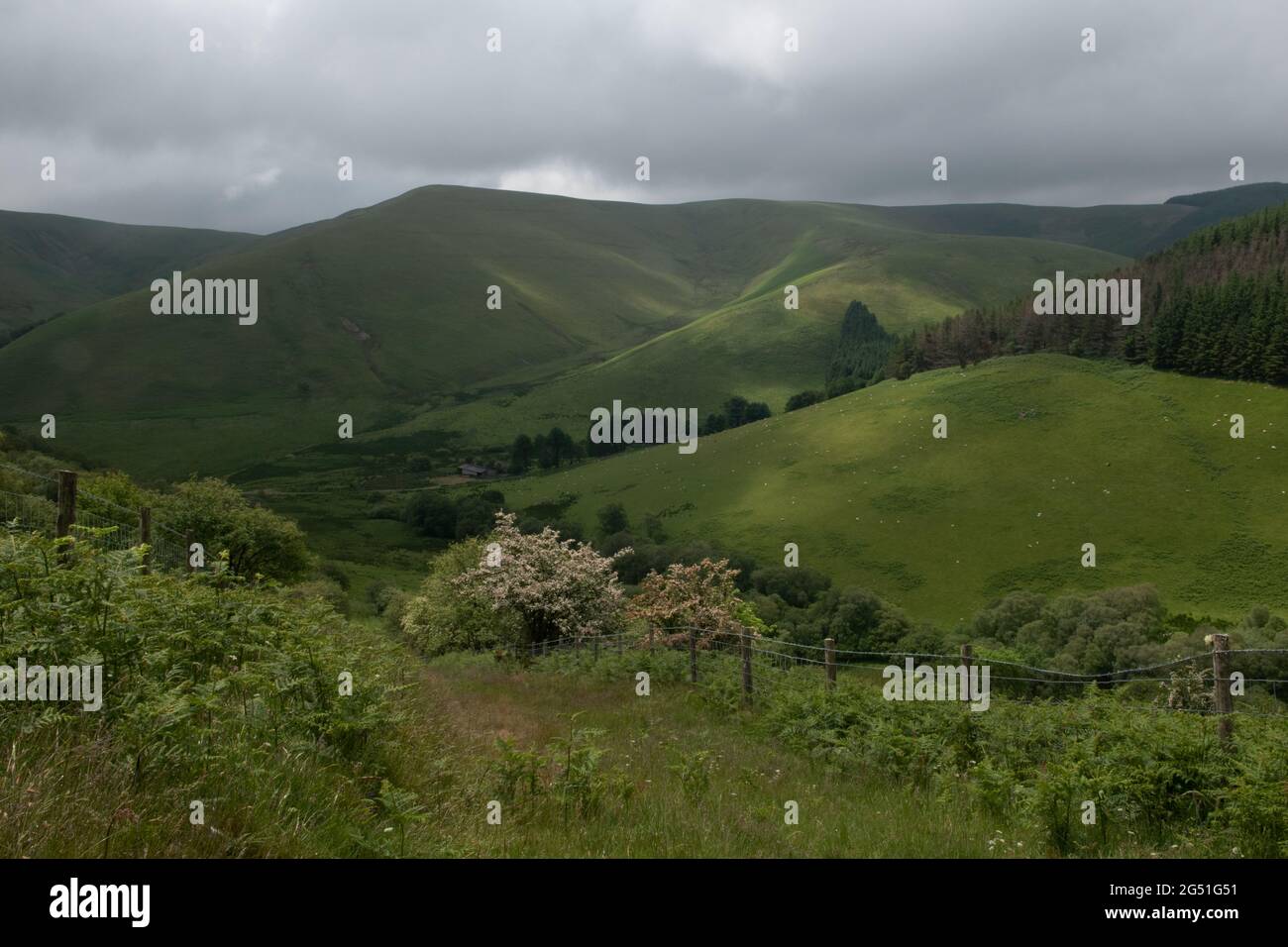 The Cambrian Mountains, Powys, Wales, UK Stock Photo Alamy