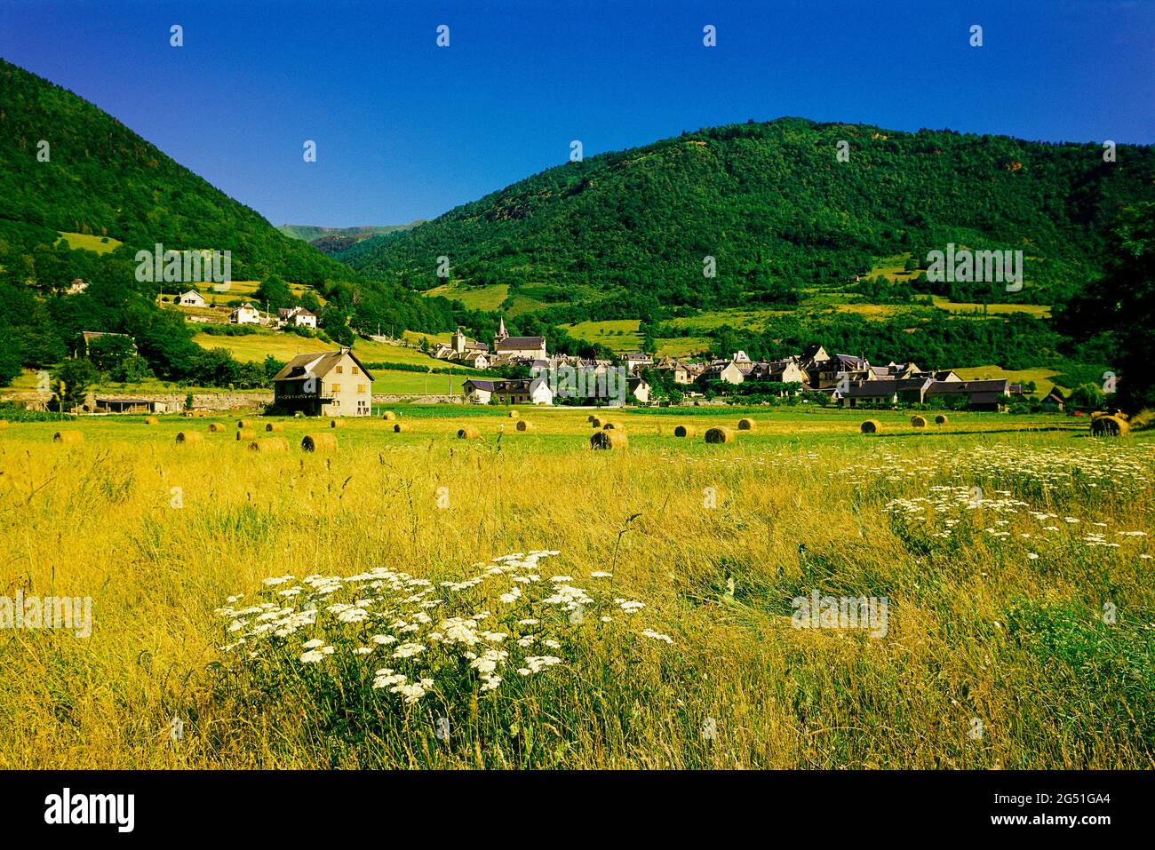 Landscape with field and village, Ancizan, Hautes-Pyrenees, France Stock Photo