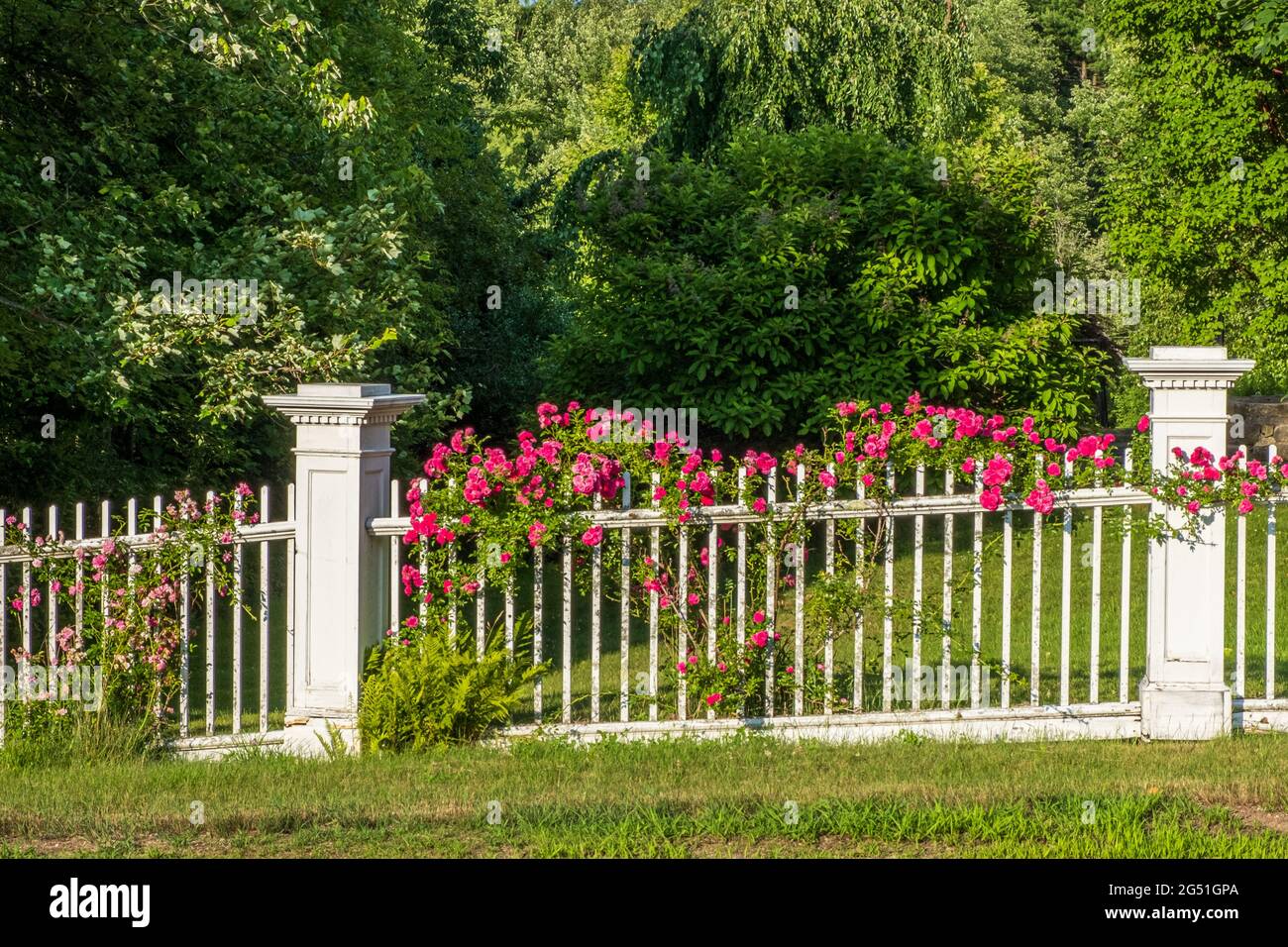 White fence hi-res stock photography and images - Alamy