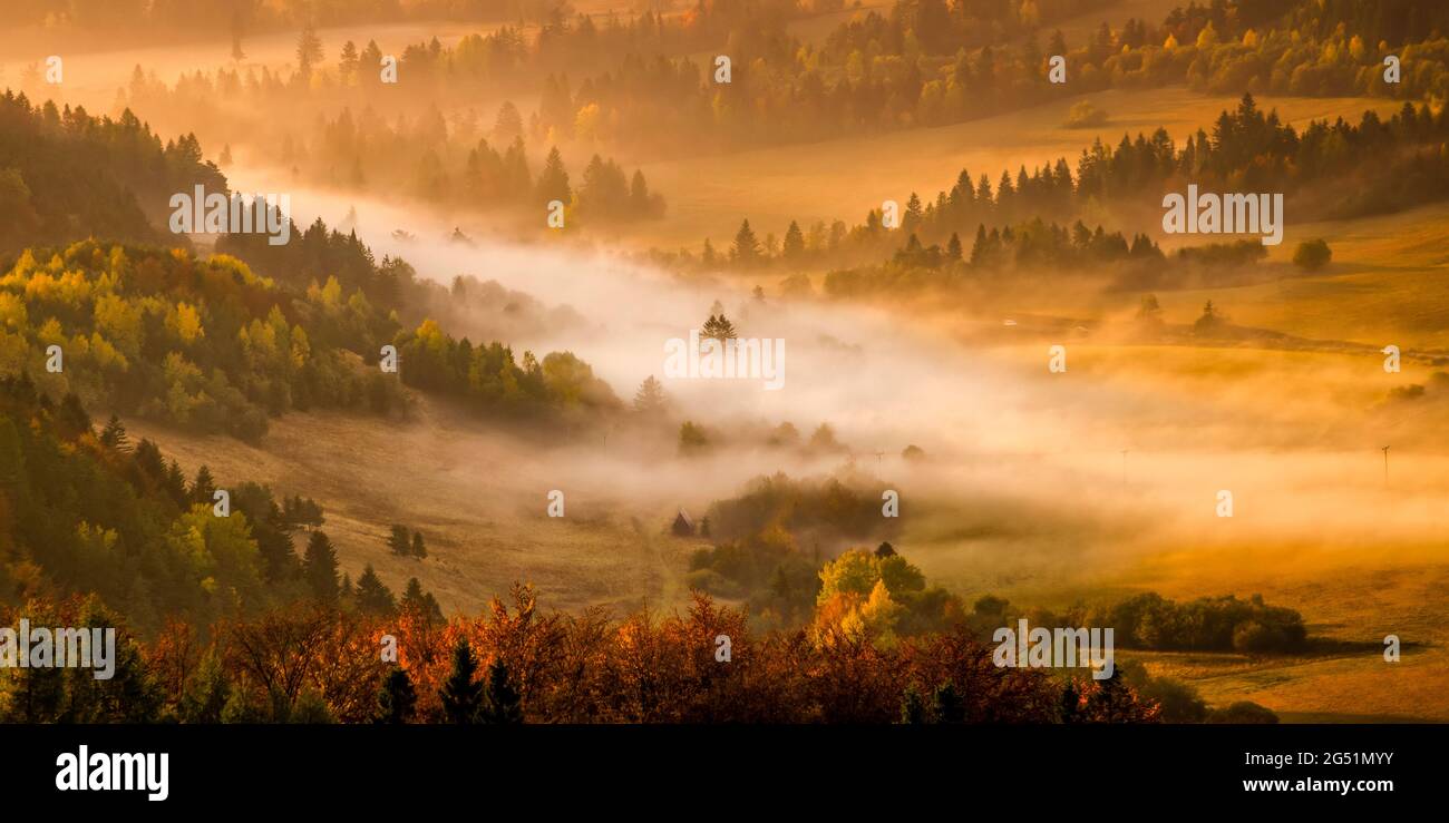 Landscape with fog at sunrise, Pieniny, Lesser Poland Voivodeship, Poland Stock Photo