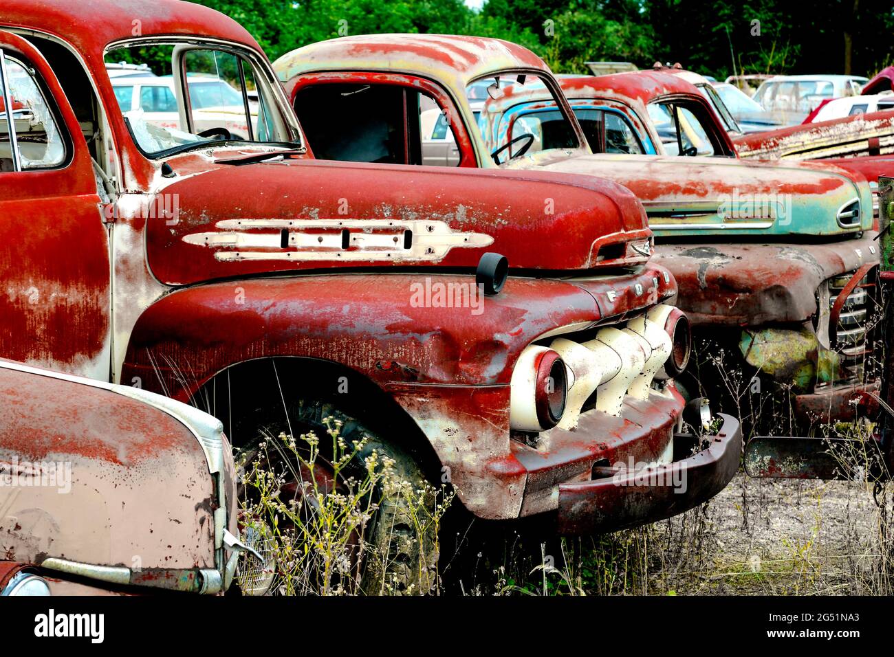 Rusty trucks at junkyard, Minnesota, USA Stock Photo