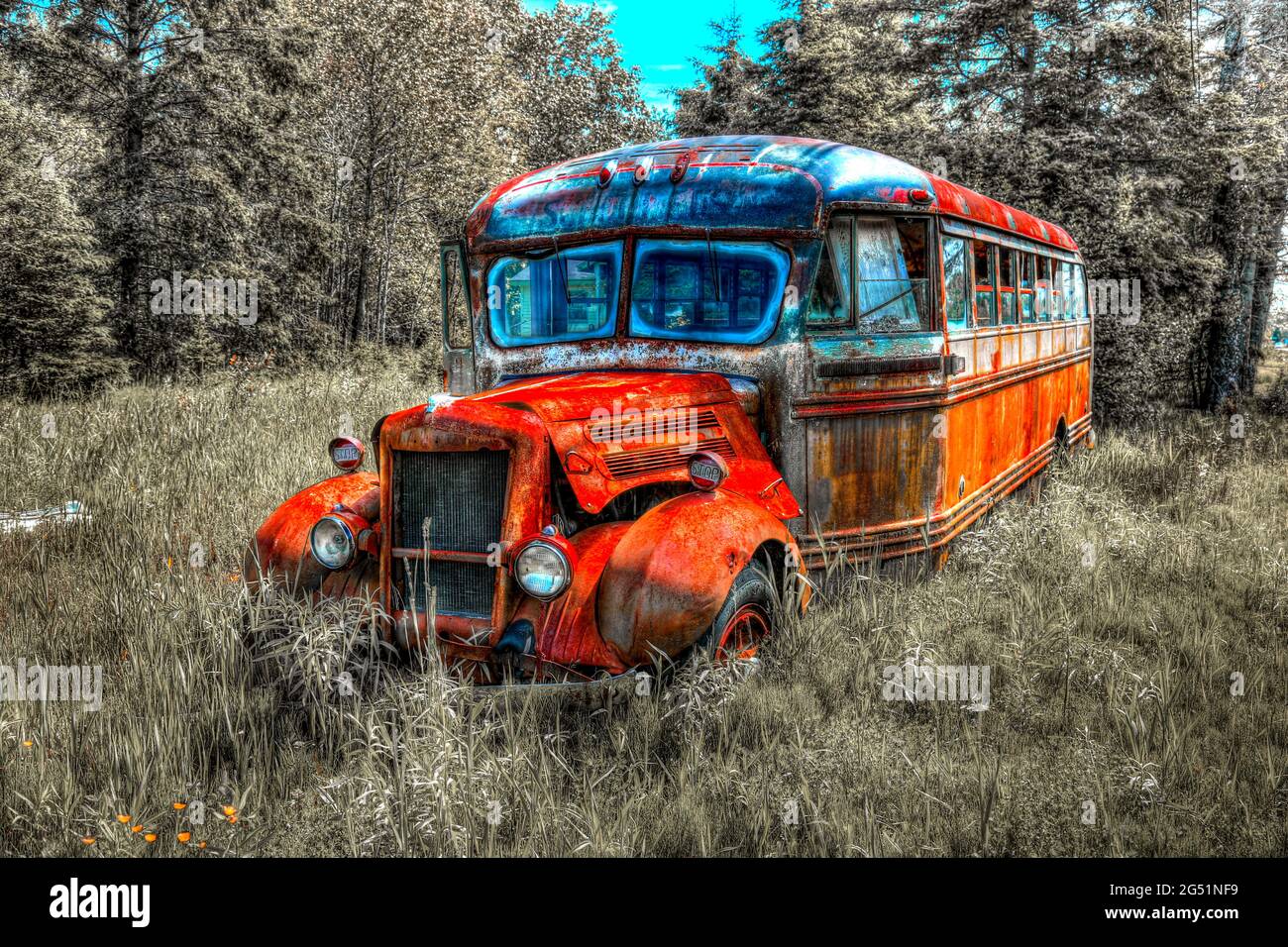Abandoned old rusty bus standing on grass Stock Photo
