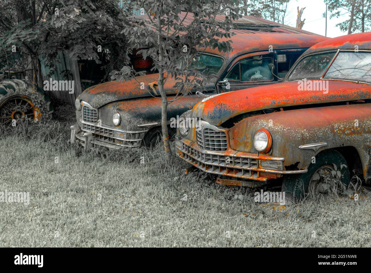 Two old abandoned rusty cars Stock Photo