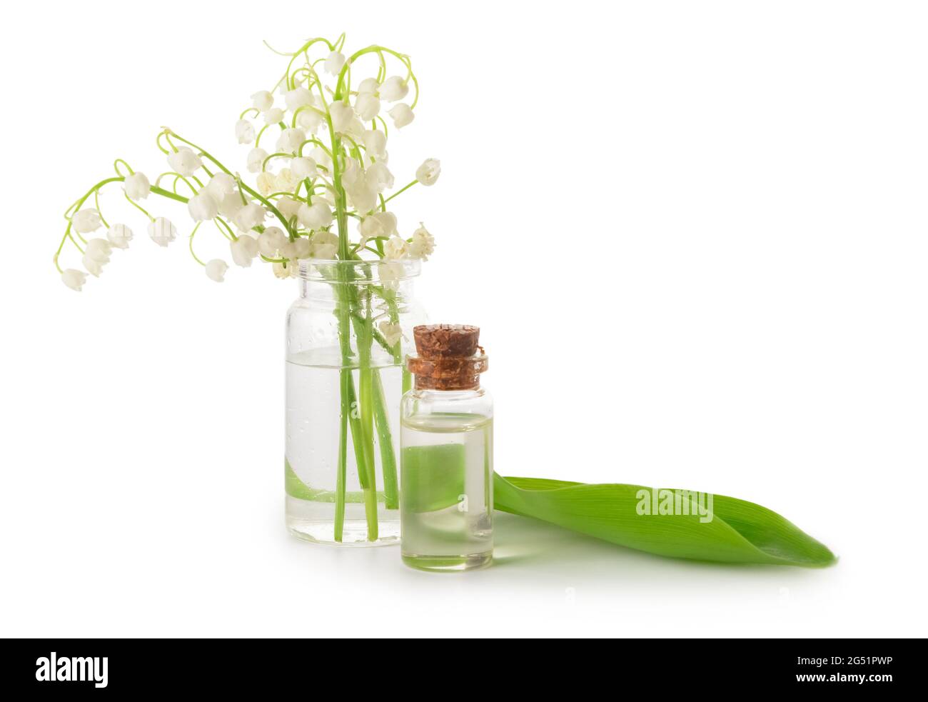 Bottle with essential oil and lily-of-the-valley flowers on white