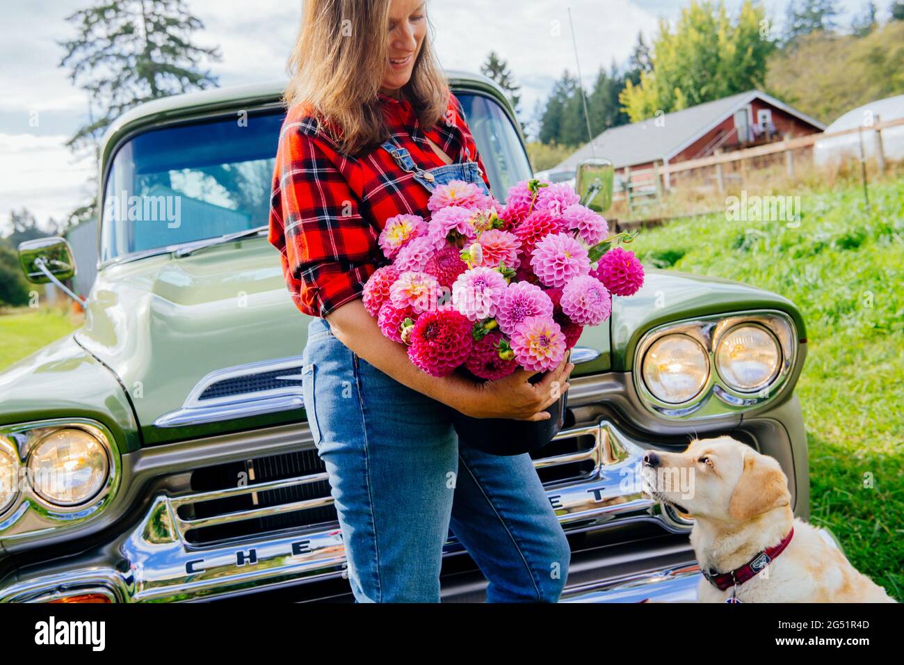 Woman with Dahlia flowers and dog in front of truck Stock Photo