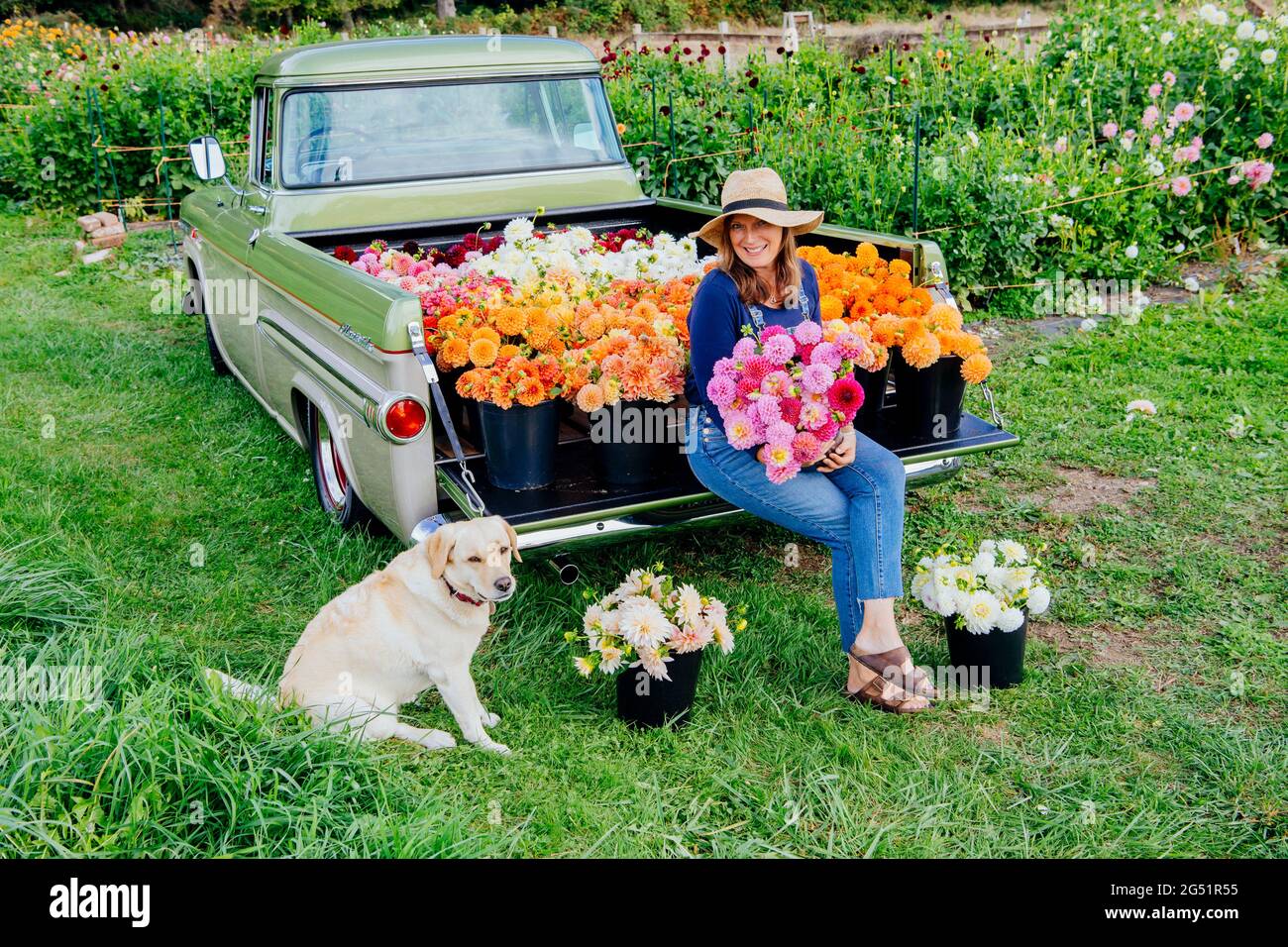 Woman with Dahlia flowers and dog sitting on back of truck Stock Photo