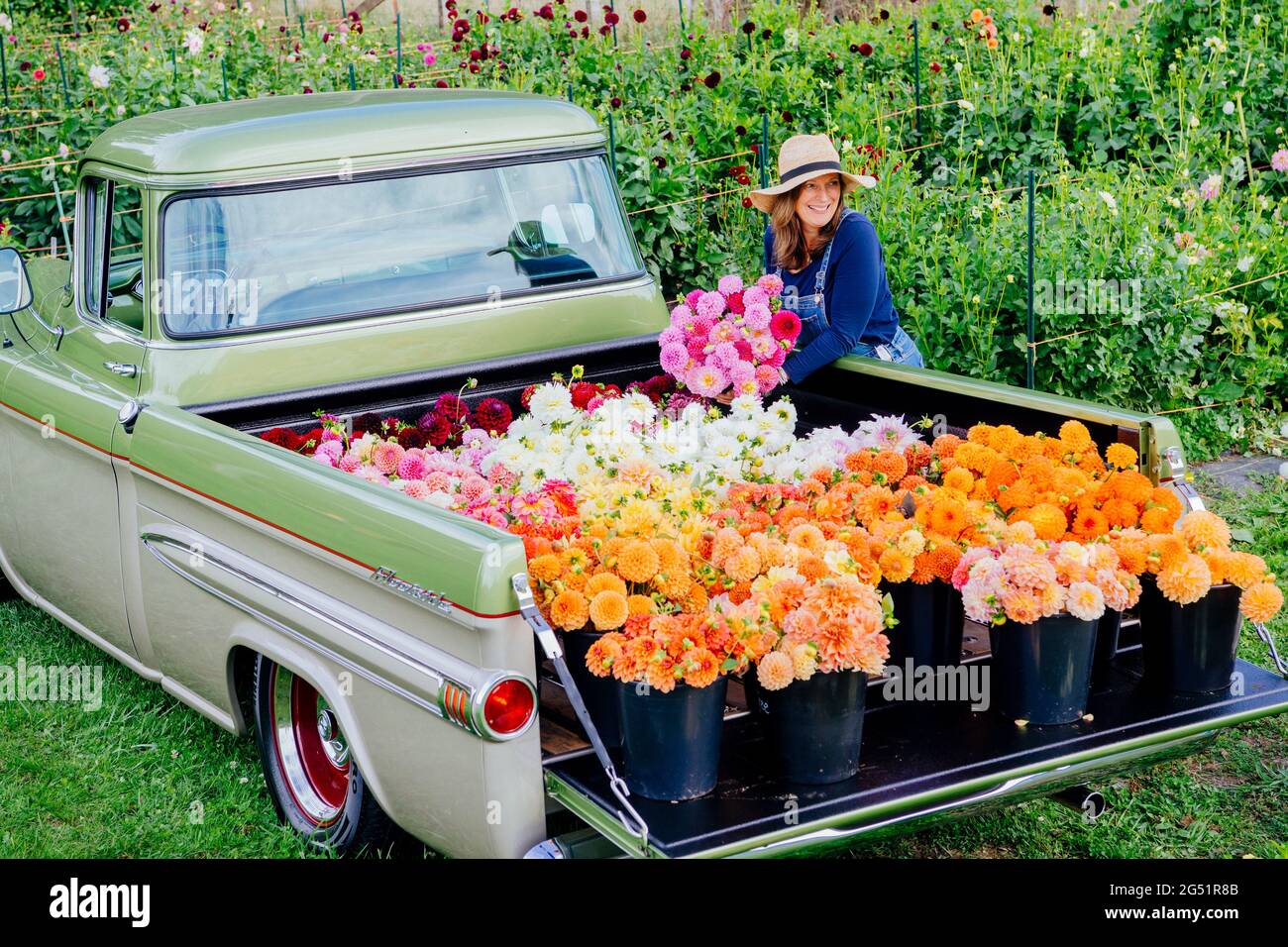 Woman with Dahlia flowers and hat behind truck Stock Photo