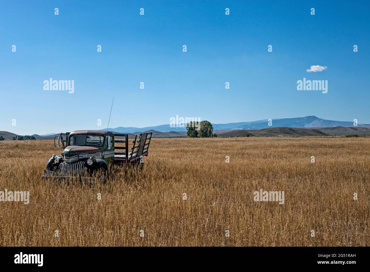 Old abandoned pick-up in field, Wyoming, USA Stock Photo