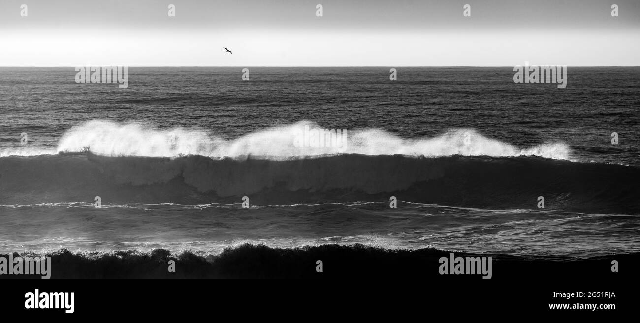 Crashing wave in Pacific Ocean in black and white Stock Photo