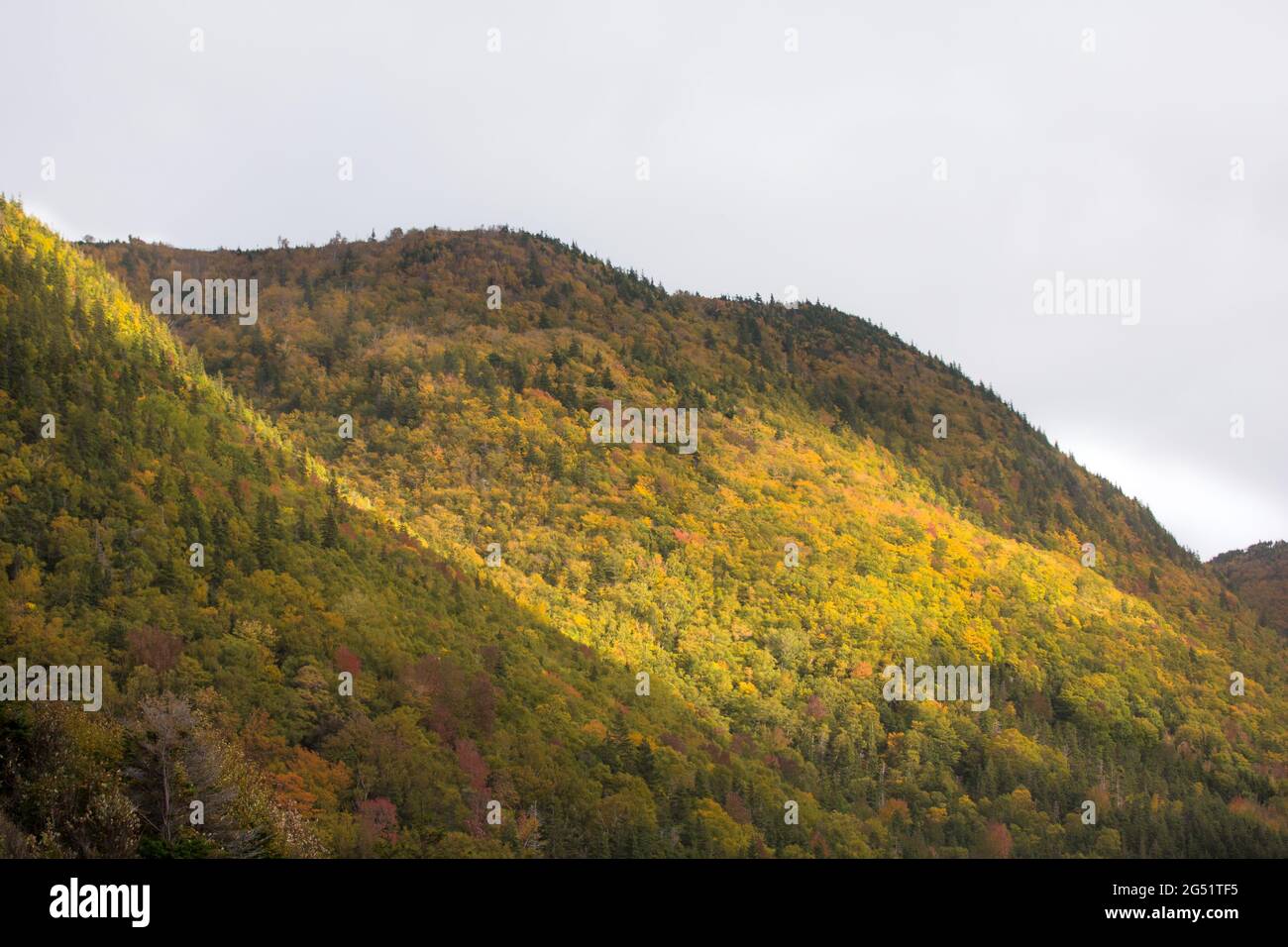 Close up of French Mountain valley in Cape Breton Nova Scotia during Autumn. Fall foliage of the mountains with mixed deciduous trees, Cabot Trail. Stock Photo