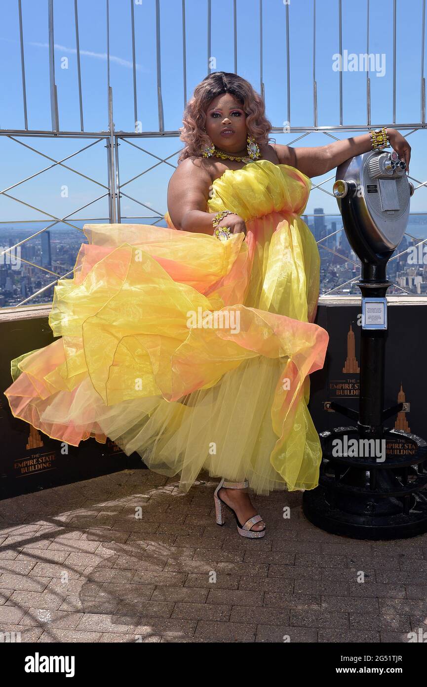 New York, USA. 24th June, 2021. Silky Nutmeg Ganache poses as the