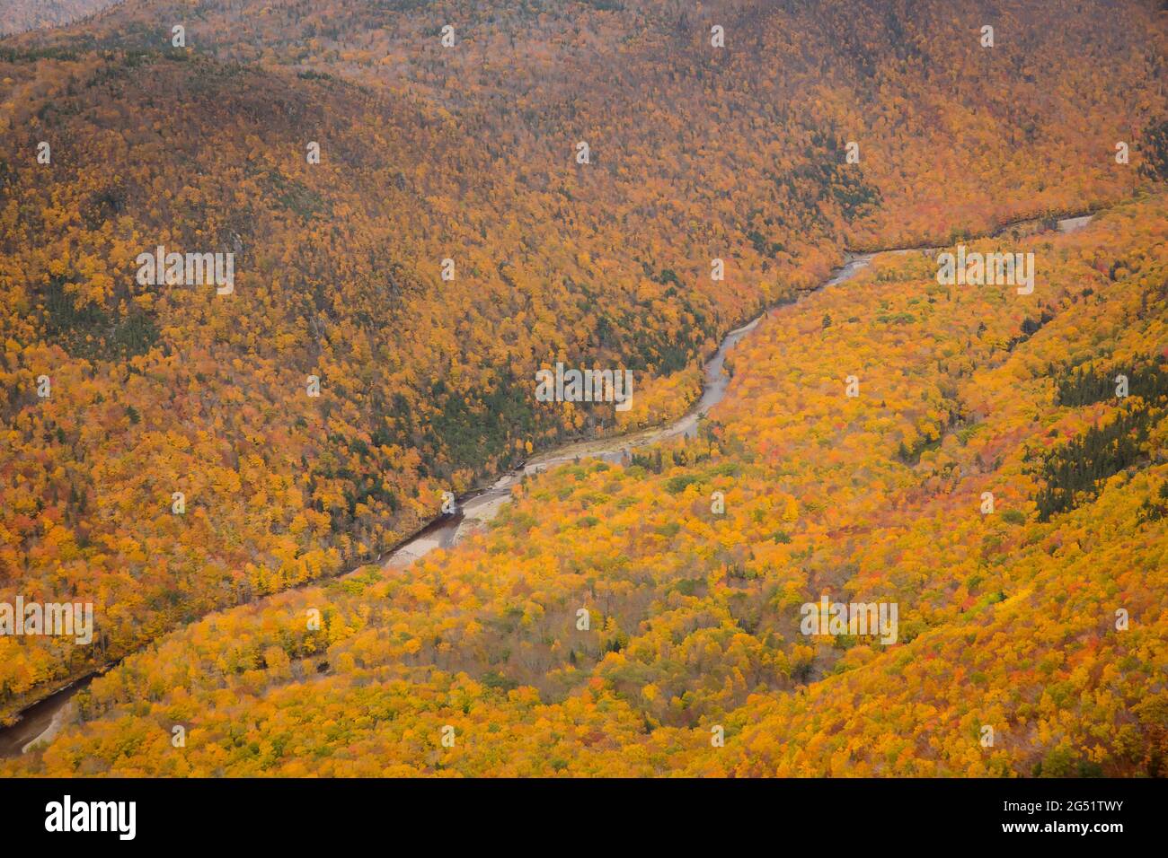 Close up of French Mountain valley in Cape Breton Nova Scotia during Autumn. Fall foliage of the mountains multi colored deciduous trees, Cabot Trail. Stock Photo