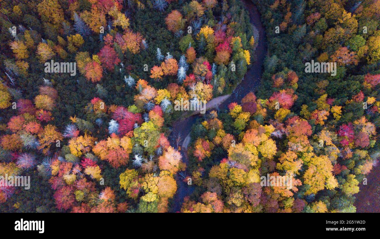Beautiful aerial views of autumn fall foliage landscape in Wentworth valley,  Nova Scotia. Autumn colors of  Nova Scotia, Canada Stock Photo