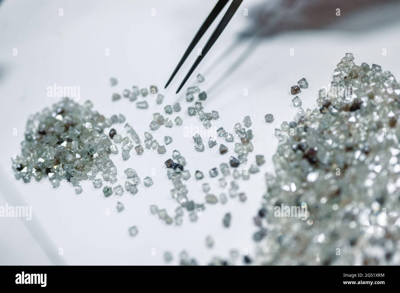 A hand holding tweezers transfers diamonds from one pile to another. Discarding precious stones on a white sheet Stock Photo