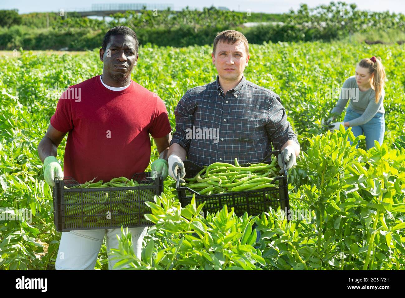 Successful farmers hi-res stock photography and images - Alamy