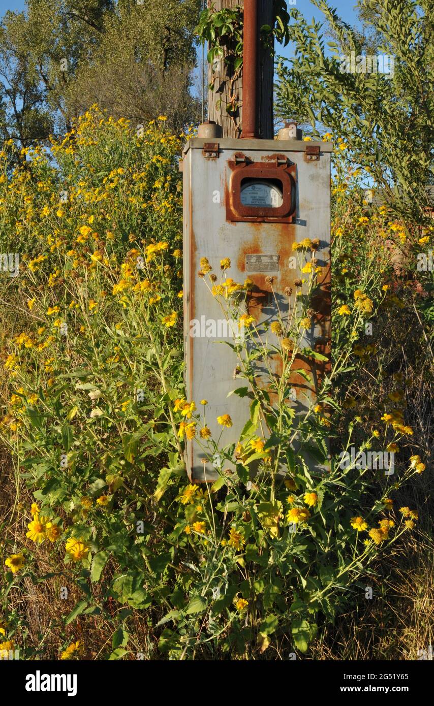 A rusting utility box is mounted on a pole at a commercial property in Warwick, Oklahoma. Stock Photo