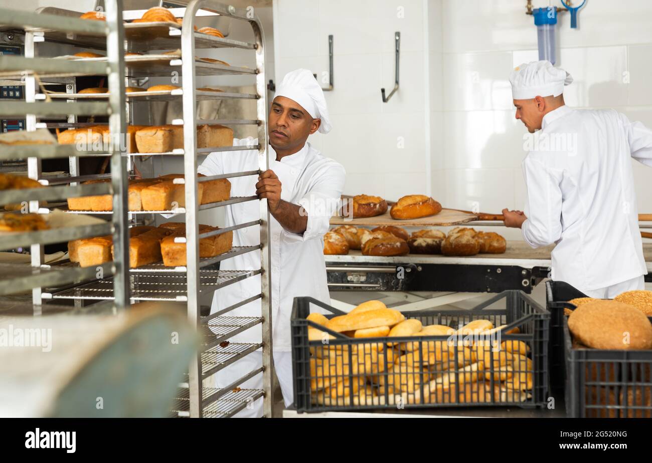Man baker transporting a cart with bread in bakery Stock Photo - Alamy