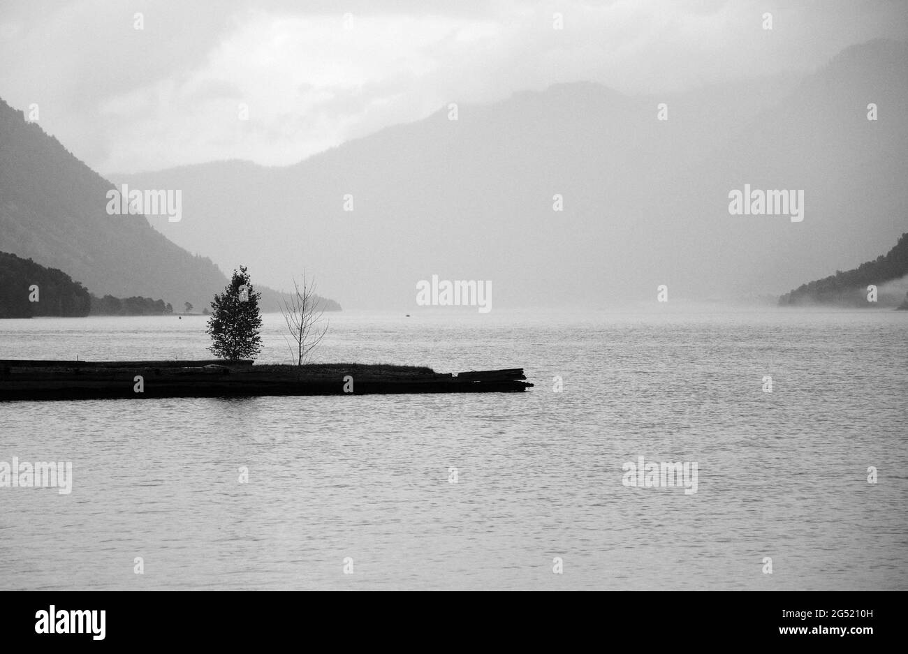 Growing on lakeside Black and White Stock Photos & Images - Alamy
