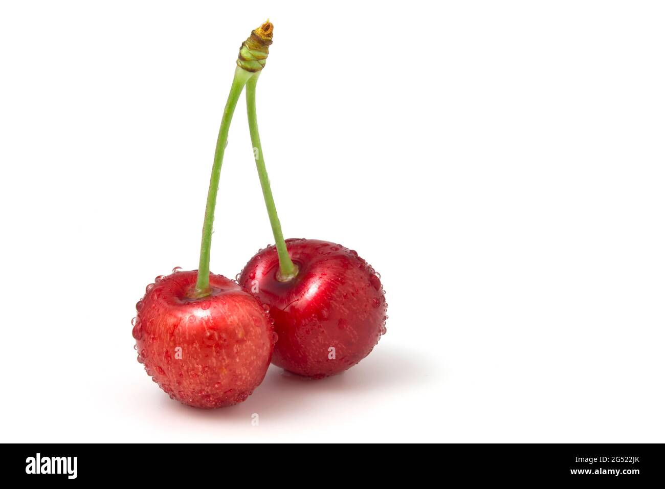 Two cherries covered with dew drops isolated on white background Stock Photo