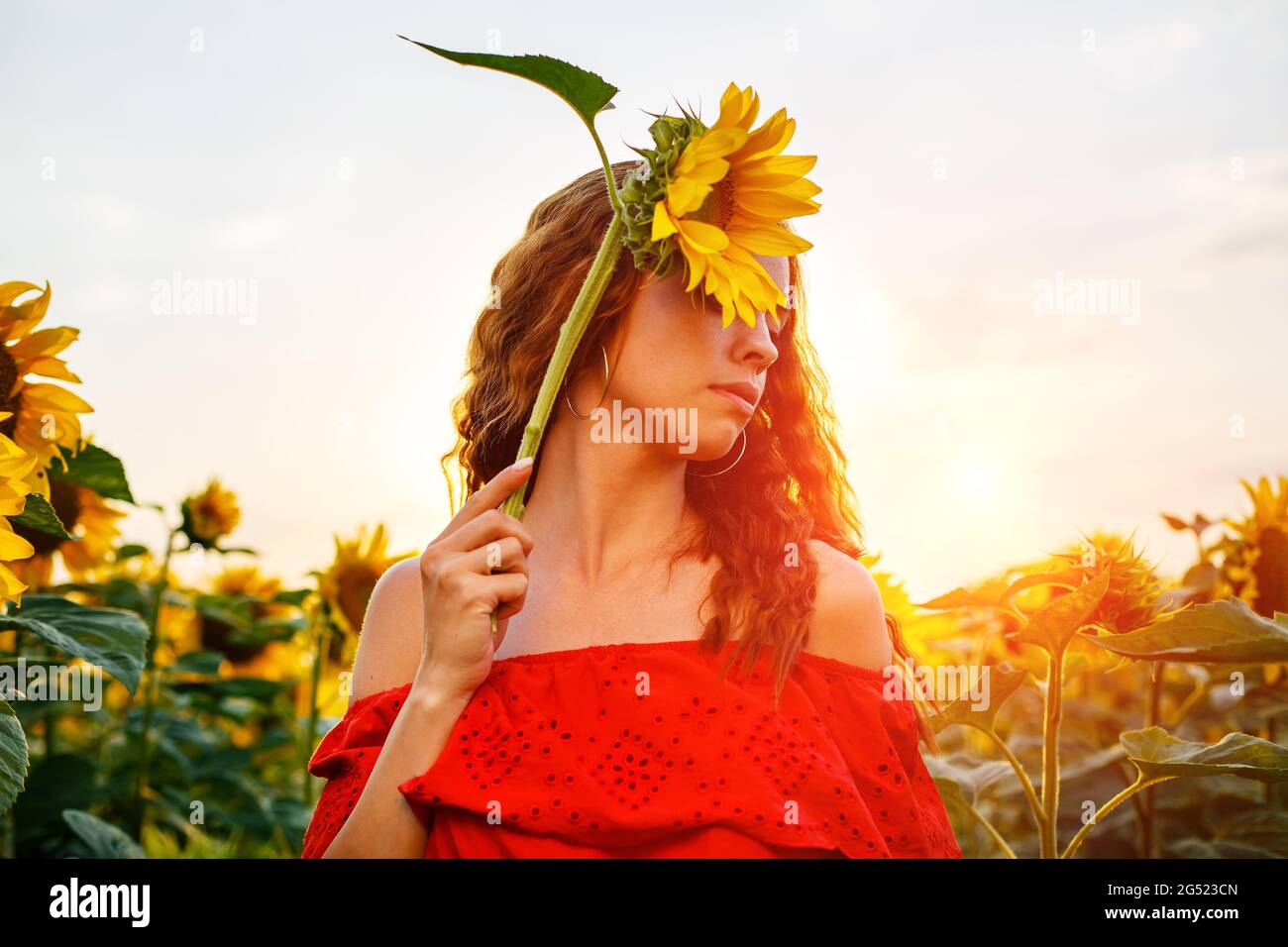 Cute young woman is holding sunflower in her hand while standing in ...