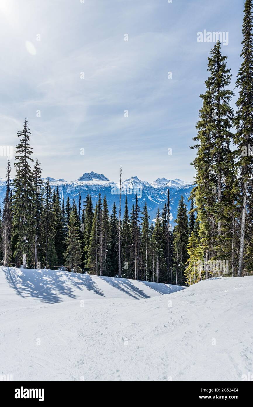 ski resort trail covered in snow and tall green trees mountain in background revelstoke british columbia Stock Photo