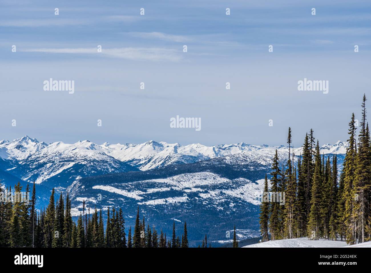 trees in front of beautiful snow-capped mountains against the blue sky in British Columbia Canada Stock Photo