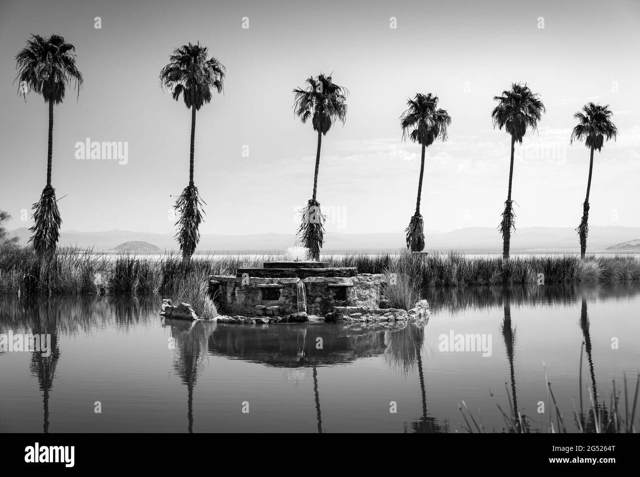 Mojave desert oasis near Zzyzx, California - black and white Stock Photo