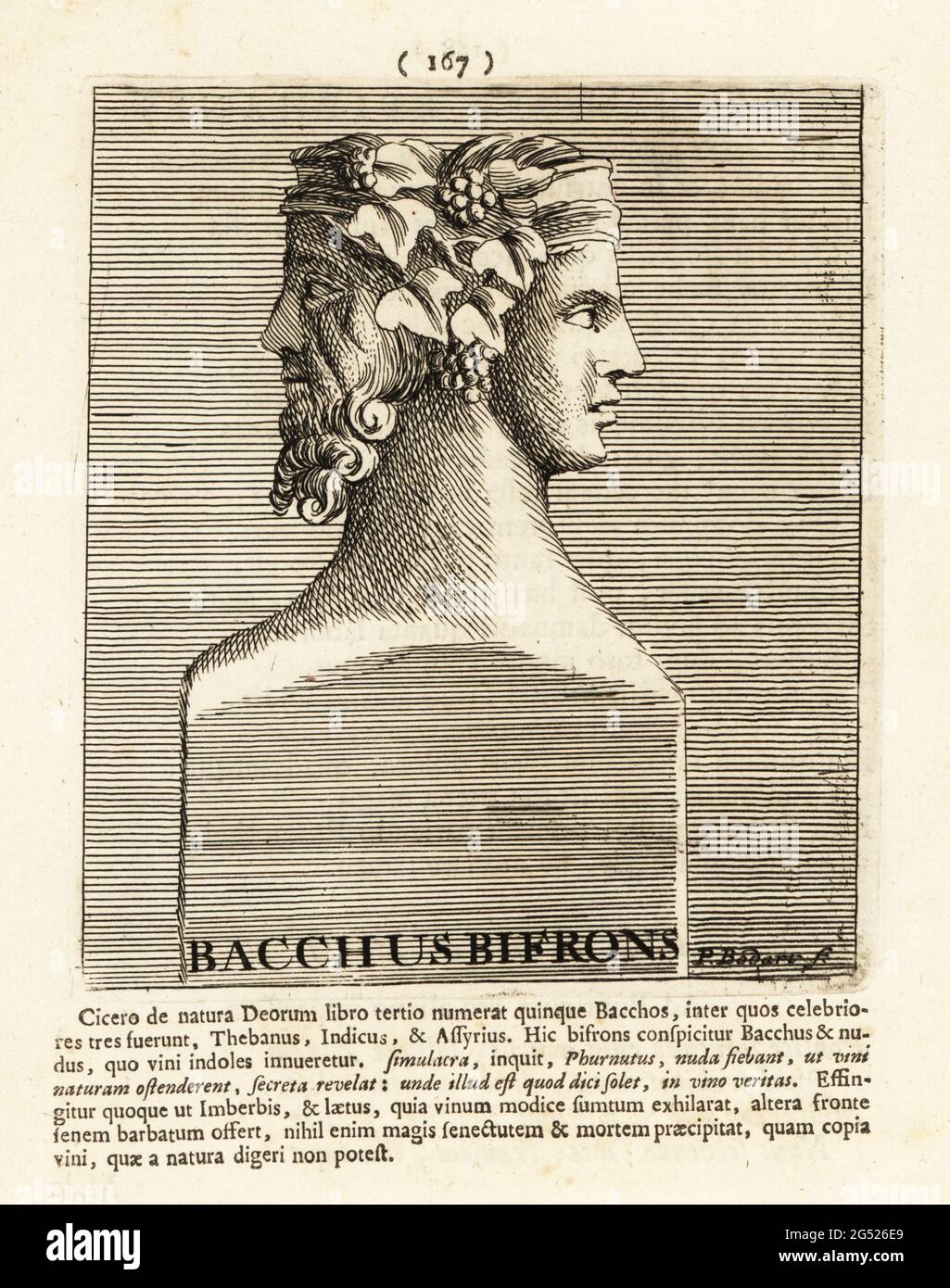 Bacchus Bifrons, with two heads facing in opposite directions, wearing vine leaves and grapes. Roman god of fertility, celebration, ritual, wine and intoxication. Dionysus in Greek mythology. Copperplate engraving by Pieter Bodart (1676-1712) from Henricus Spoor’s Deorum et Heroum, Virorum et Mulierum Illustrium Imagines Antiquae Illustatae, Gods and Heroes, Men and Women, Illustrated with Antique Images, Petrum, Amsterdam, 1715. First published as Favissæ utriusque antiquitatis tam Romanæ quam Græcæ in 1707. Henricus Spoor was a Dutch physician, classical scholar, poet and writer, fl. 1694-17 Stock Photo